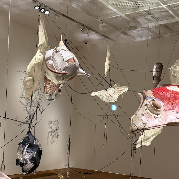 Gallery installation view